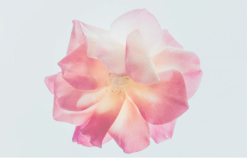 Изображение на фоне