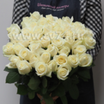 Белые Розы Аваланш