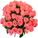 51 коралловая роза  40 см