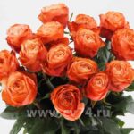 Букет 15 оранжевых роз