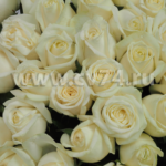 19 белых роз Аваланш 60 см