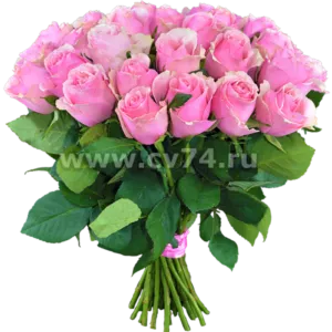 25 розовых роз Голландия 60 см