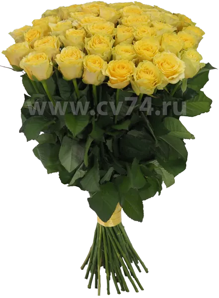Желтые розы Илиос