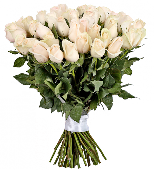 Белые Розы Венделла