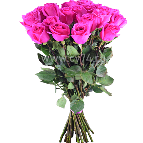 Розовые розы Топаз