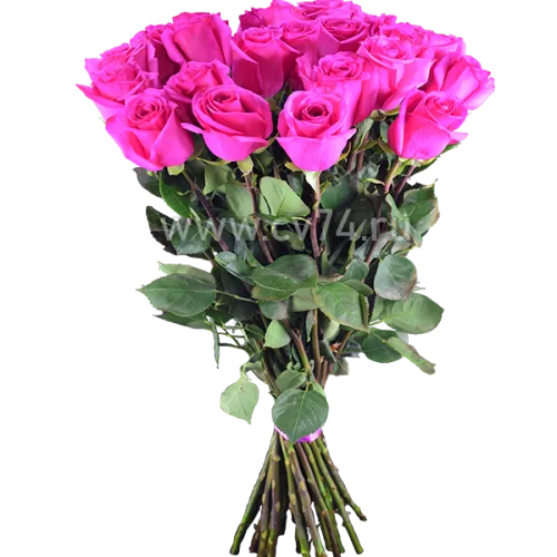 Розовые розы Топаз