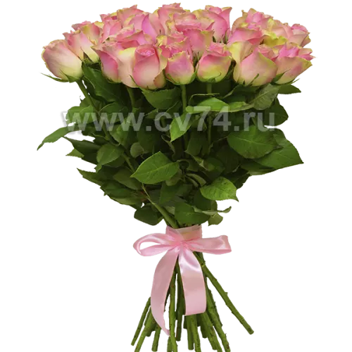 35 розовых роз Голландия 60 см