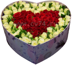 Розы в коробке Восторг-67