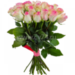 25 бело-розовых роз