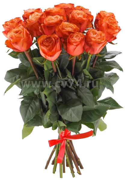 Букет 15 оранжевых роз