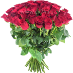 51 бордовая роза 60 см