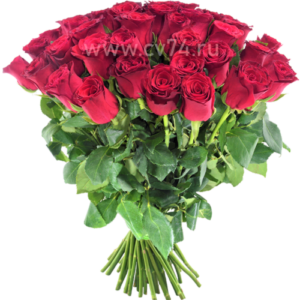 51 бордовая роза 60 см