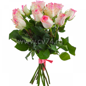 15 бело-розовых роз 40 см