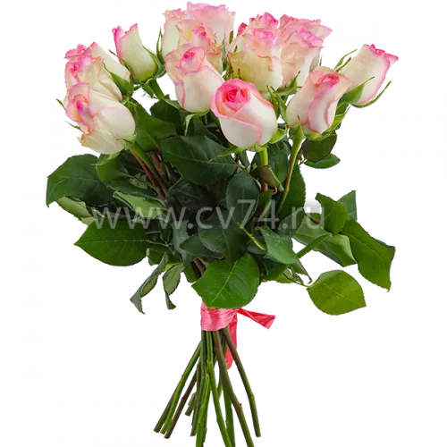 15 бело-розовых роз 40 см