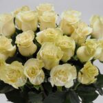 Букет из 21 белой розы