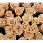 Розы Талея