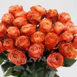 Букет 25 оранжевых роз
