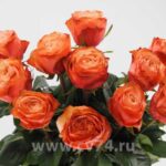 Букет 11 оранжевых роз