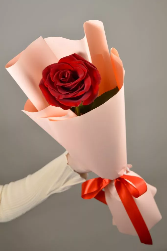 Красная роза Эквадор