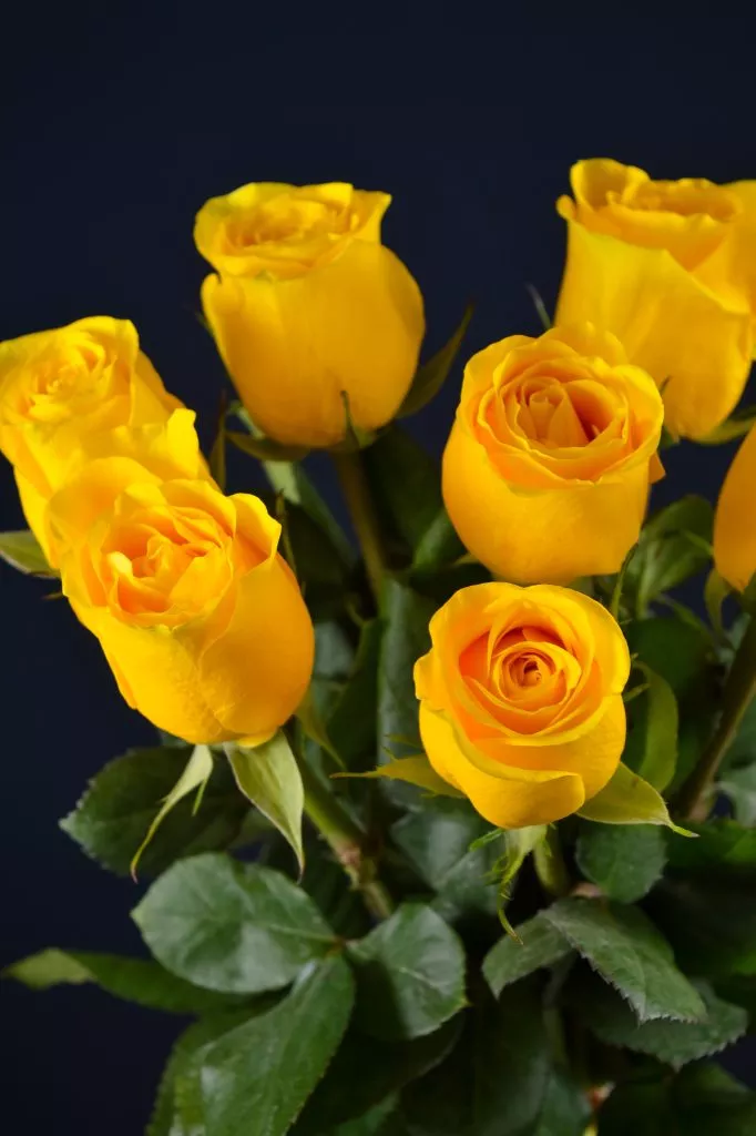 7 желтых роз Эквадор