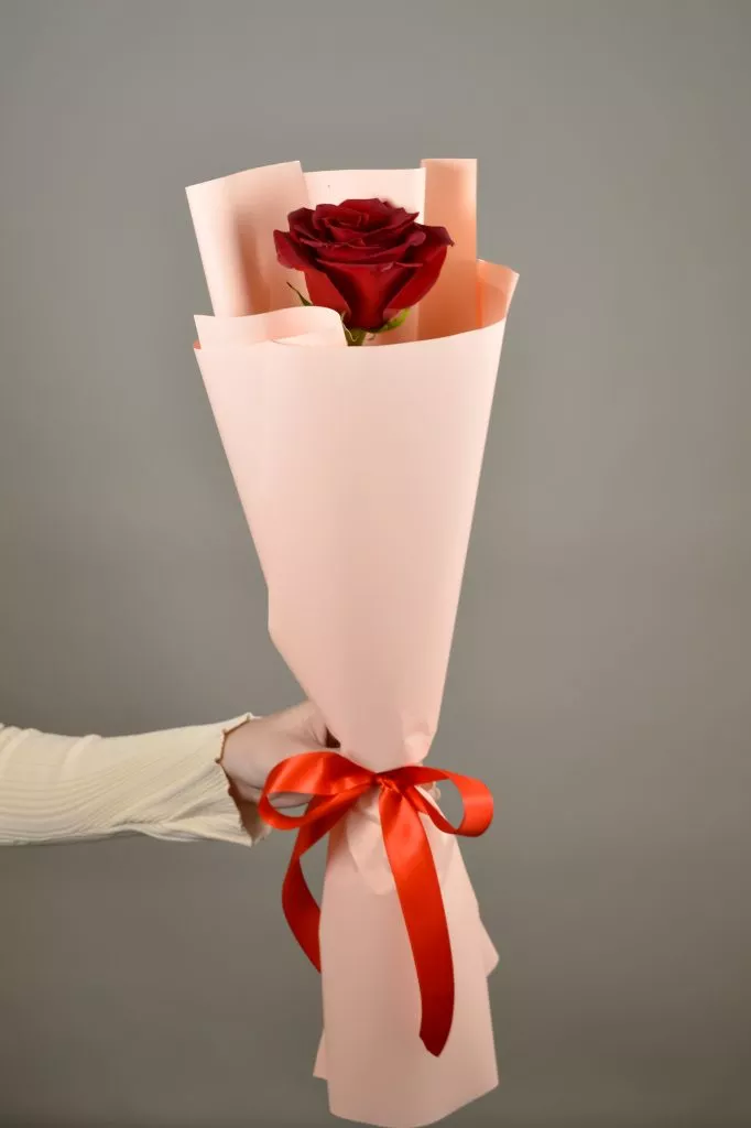 Красная роза Эквадор