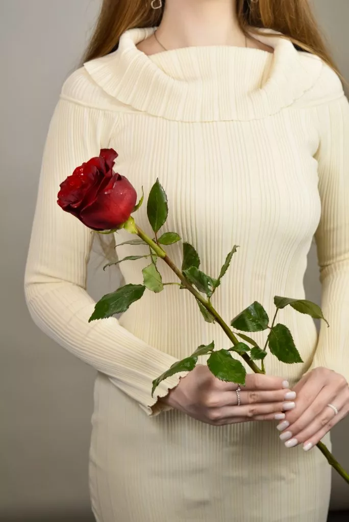 Красная роза Эквадор