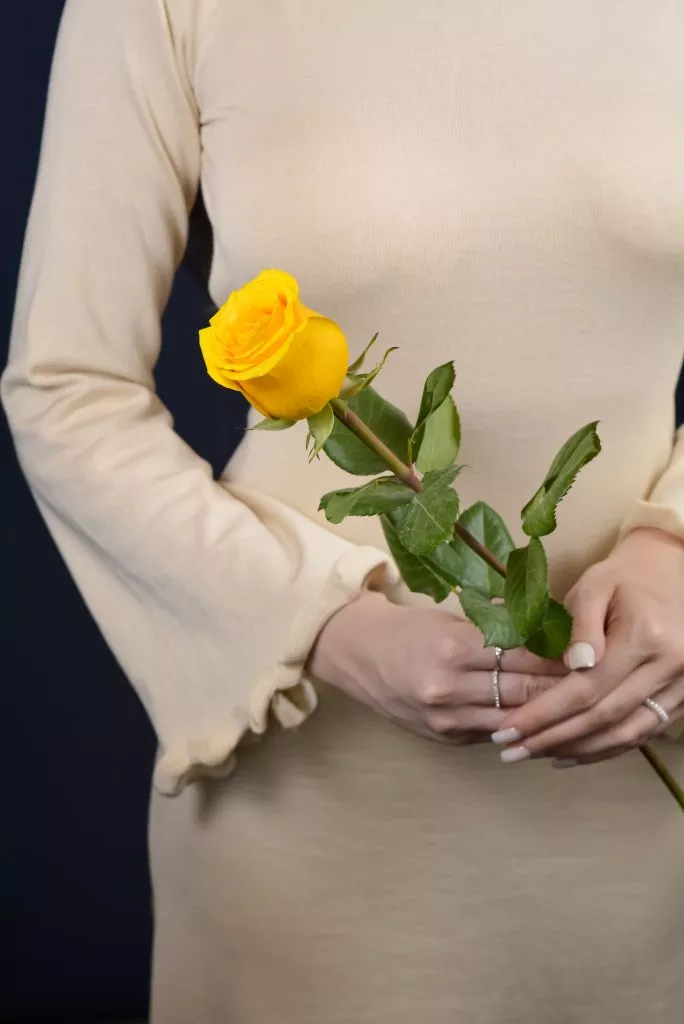 желтая роза