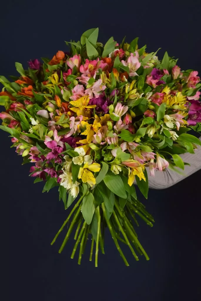 51 альстромерия микс