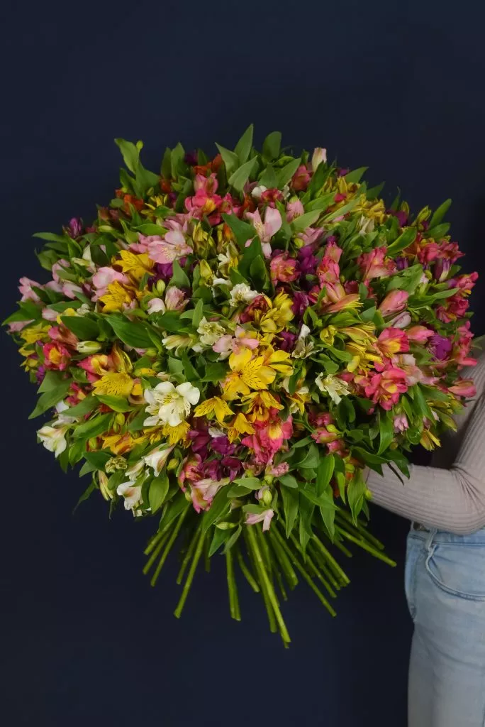 101 альстромерия микс