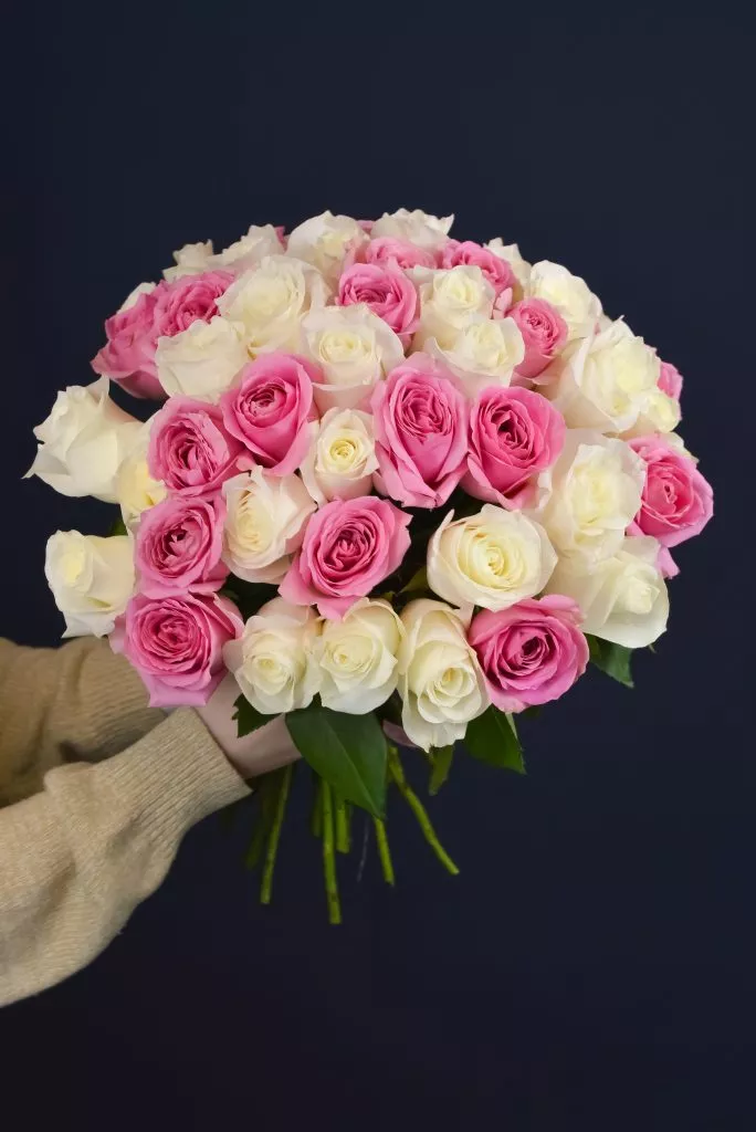 51 бело-розовая роза 40 см