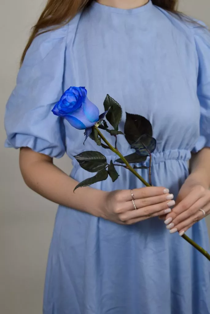 Синяя роза