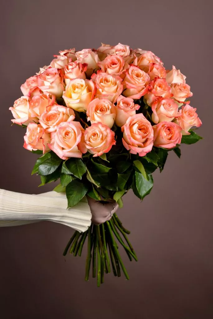 29 розовые розы Эквадор