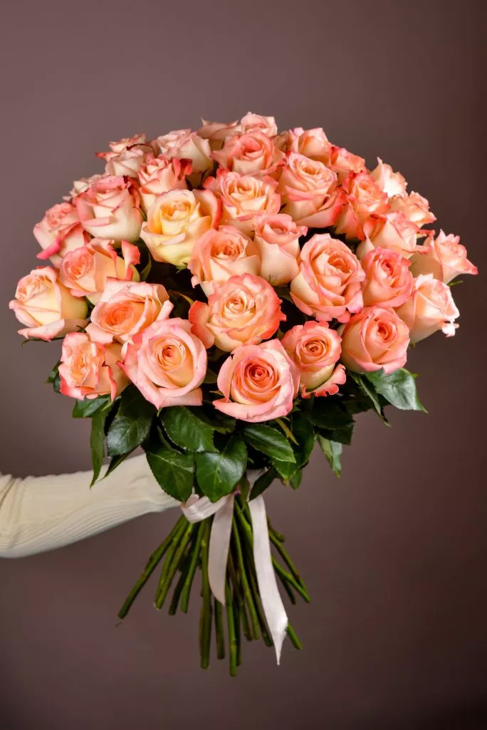 31 розовые розы Эквадор