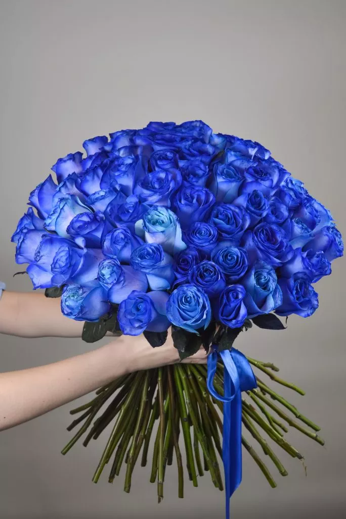 75 синих роз Эквадор