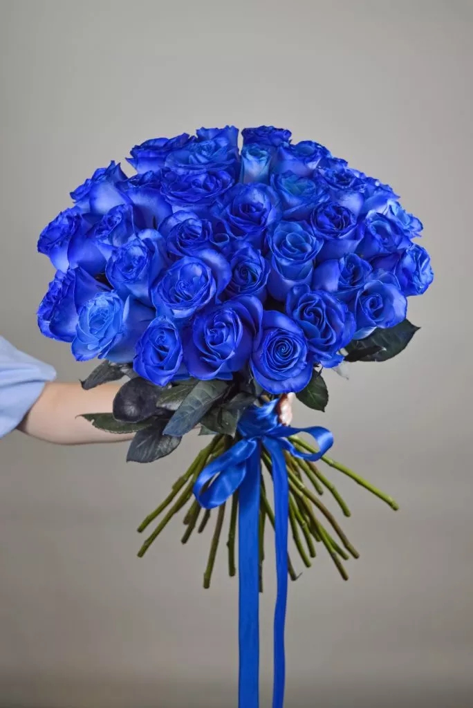 35 синих роз Эквадор