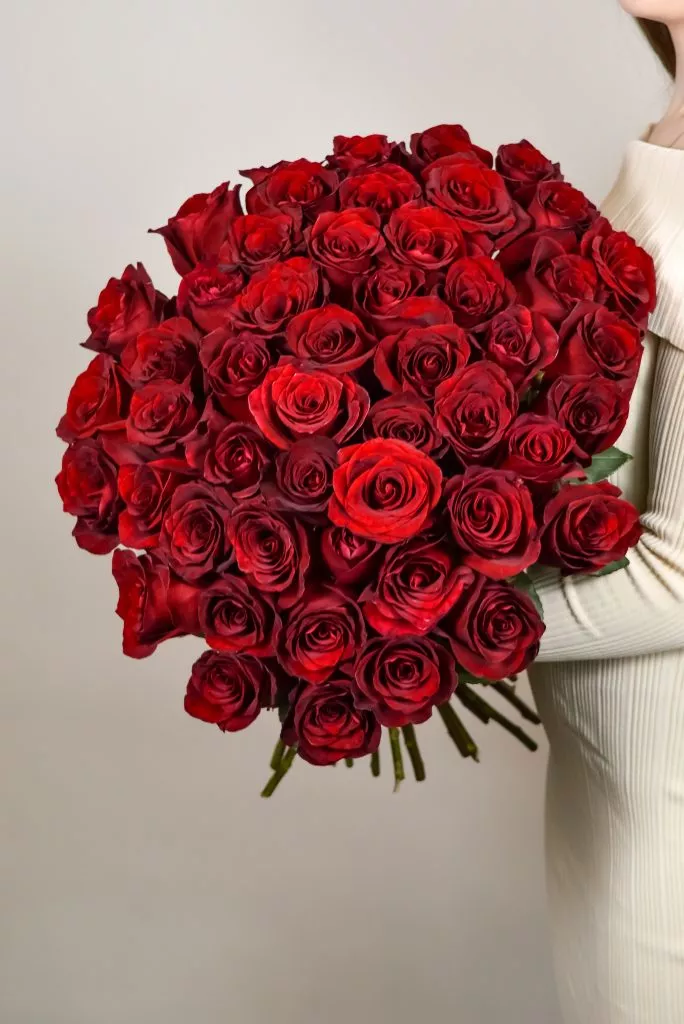 51 красная роза Эквадор