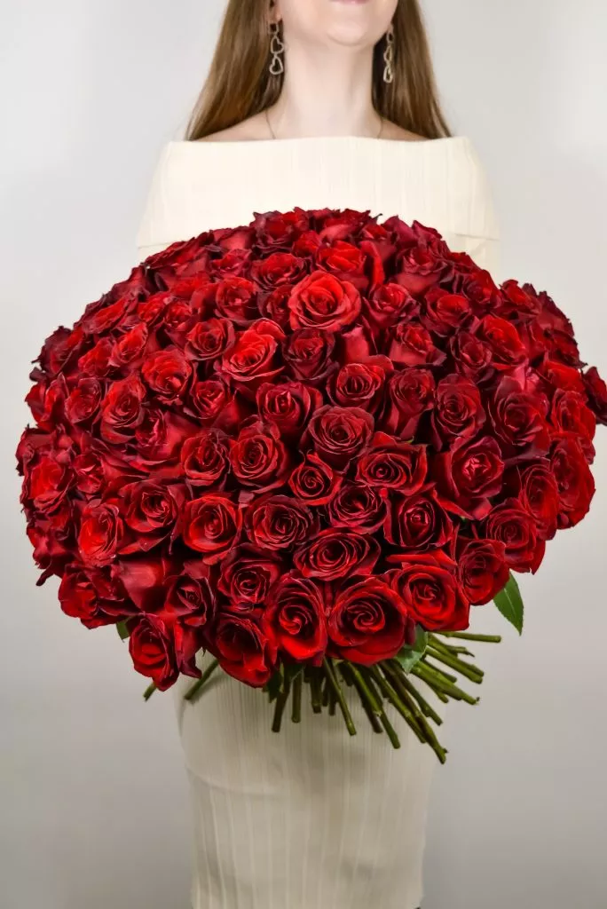 101 красная роза