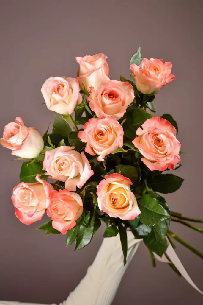 11 розовые розы Эквадор