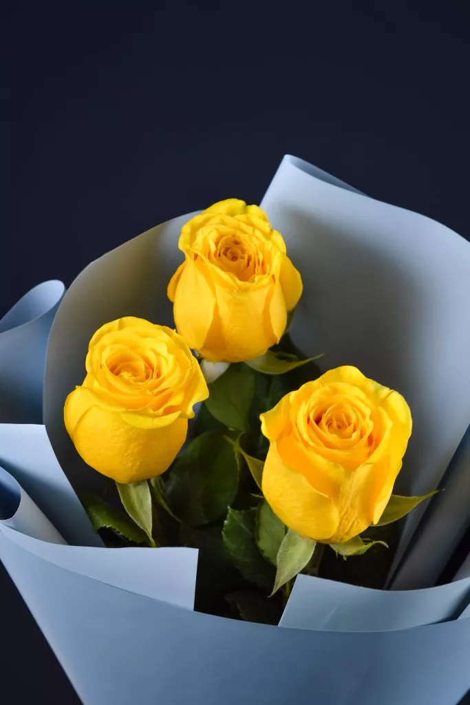 Желтая роза Эквадор