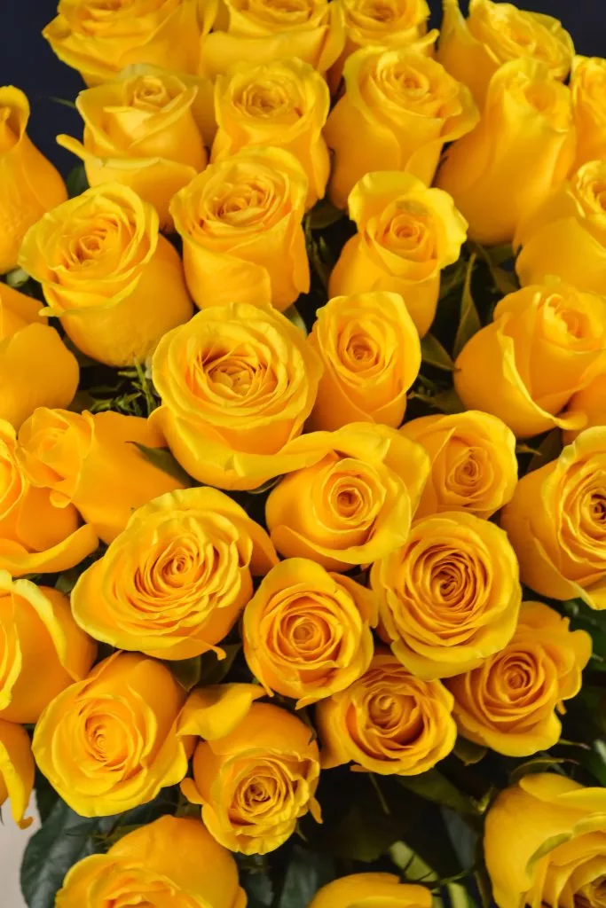 45 желтых роз