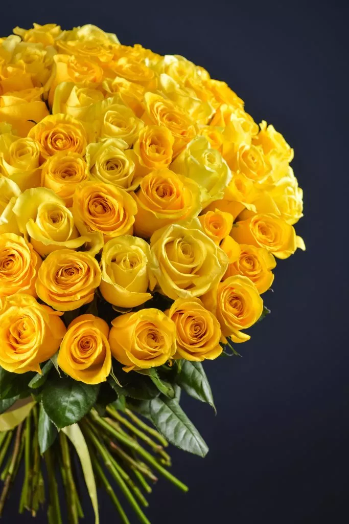 75 желтых роз