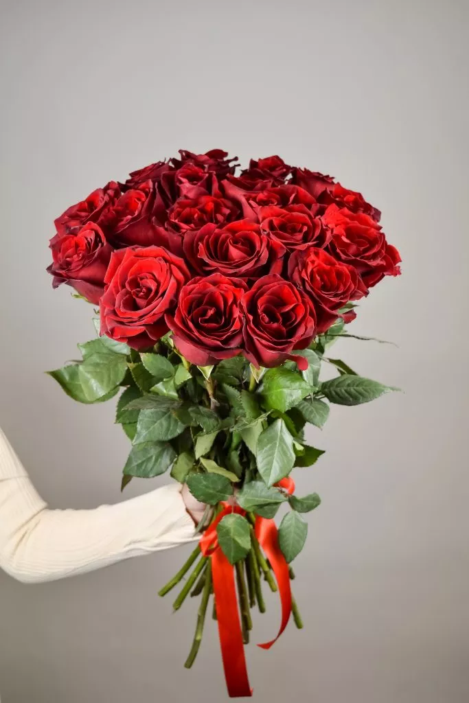 19 красных роз