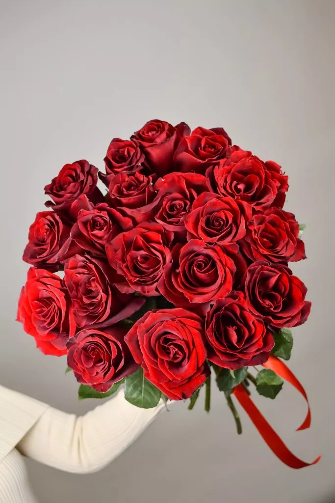 19 красных роз