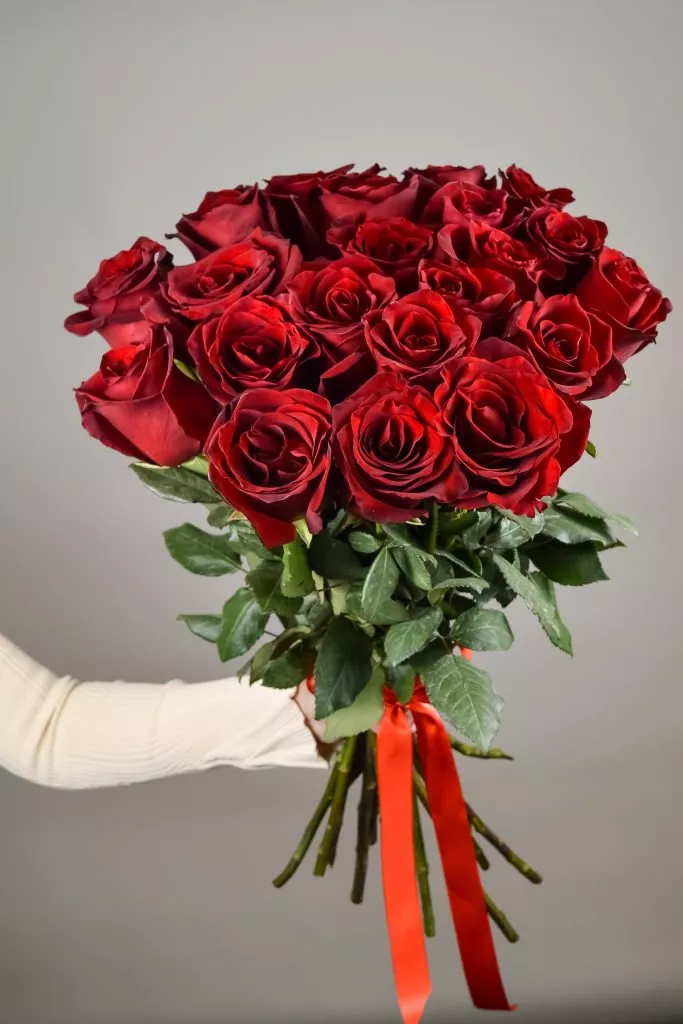 21 красная роза