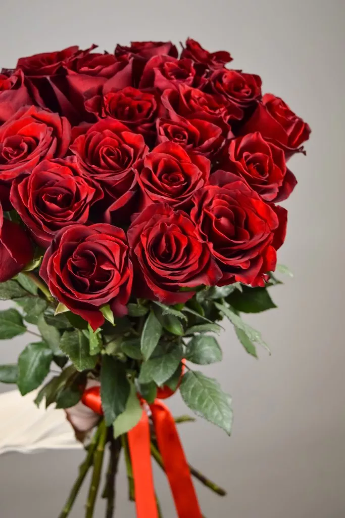 21 красная роза