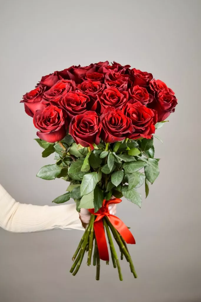 23 красных роз