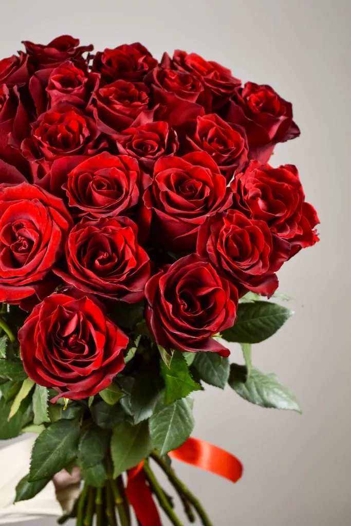 23 красных роз