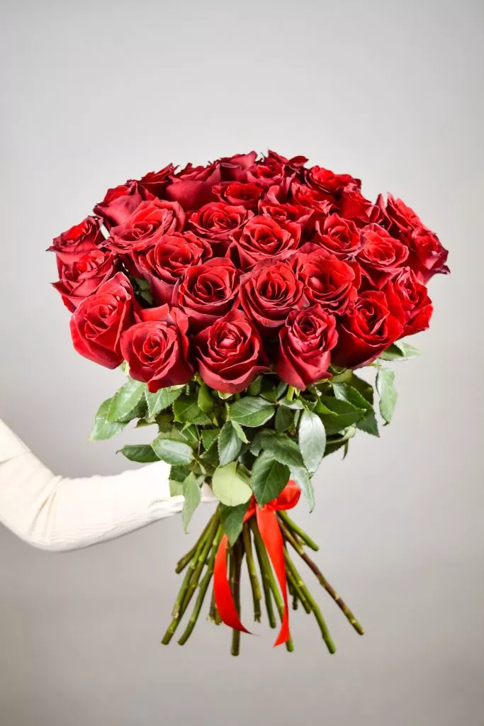 31 красная роза