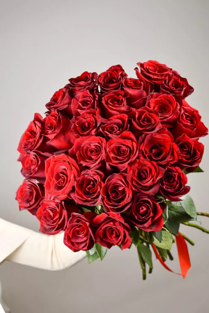 31 красная роза