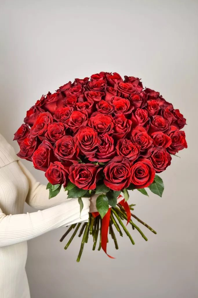 51 красная роза Эквадор